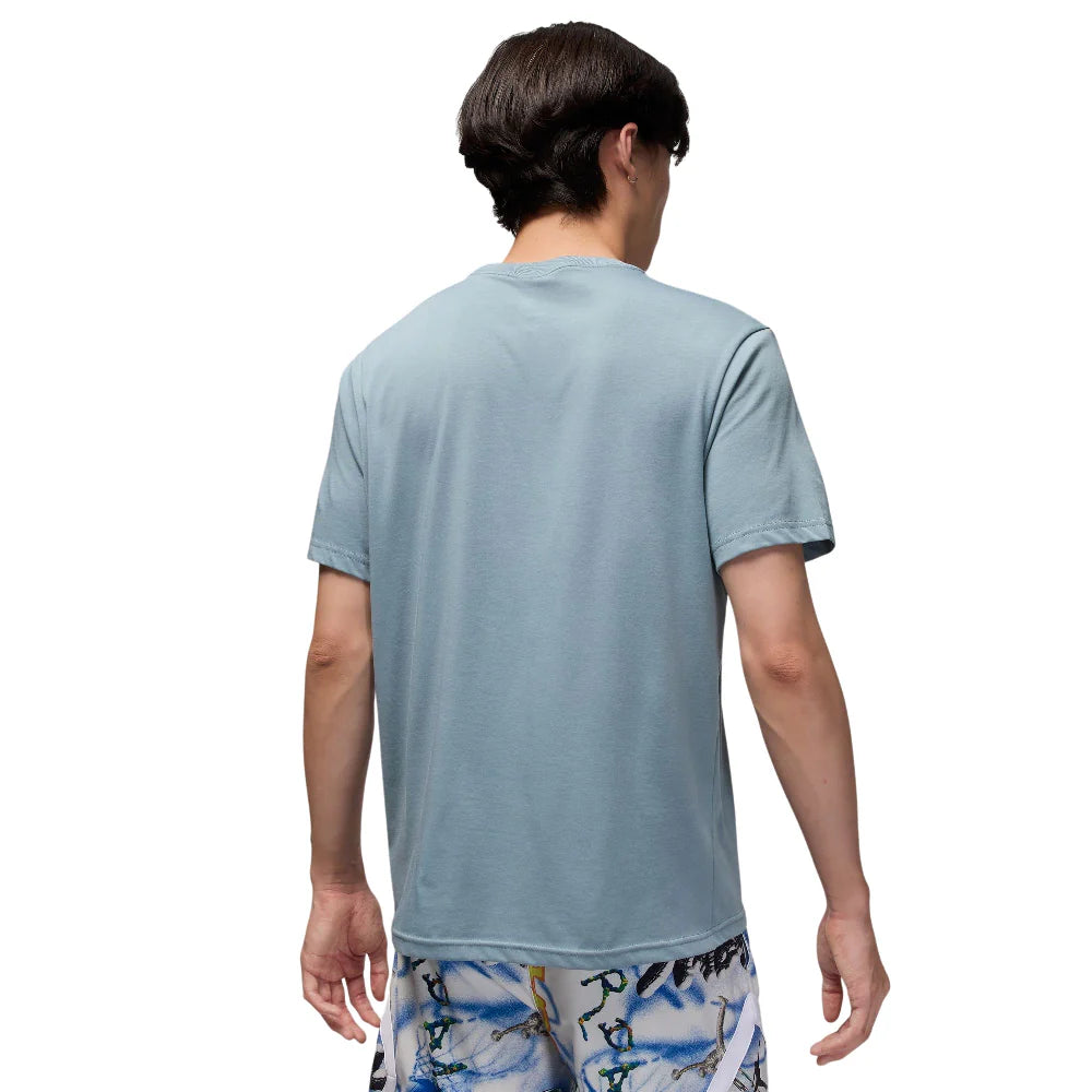 Camiseta deportiva Dri-FIT Jumpman gris